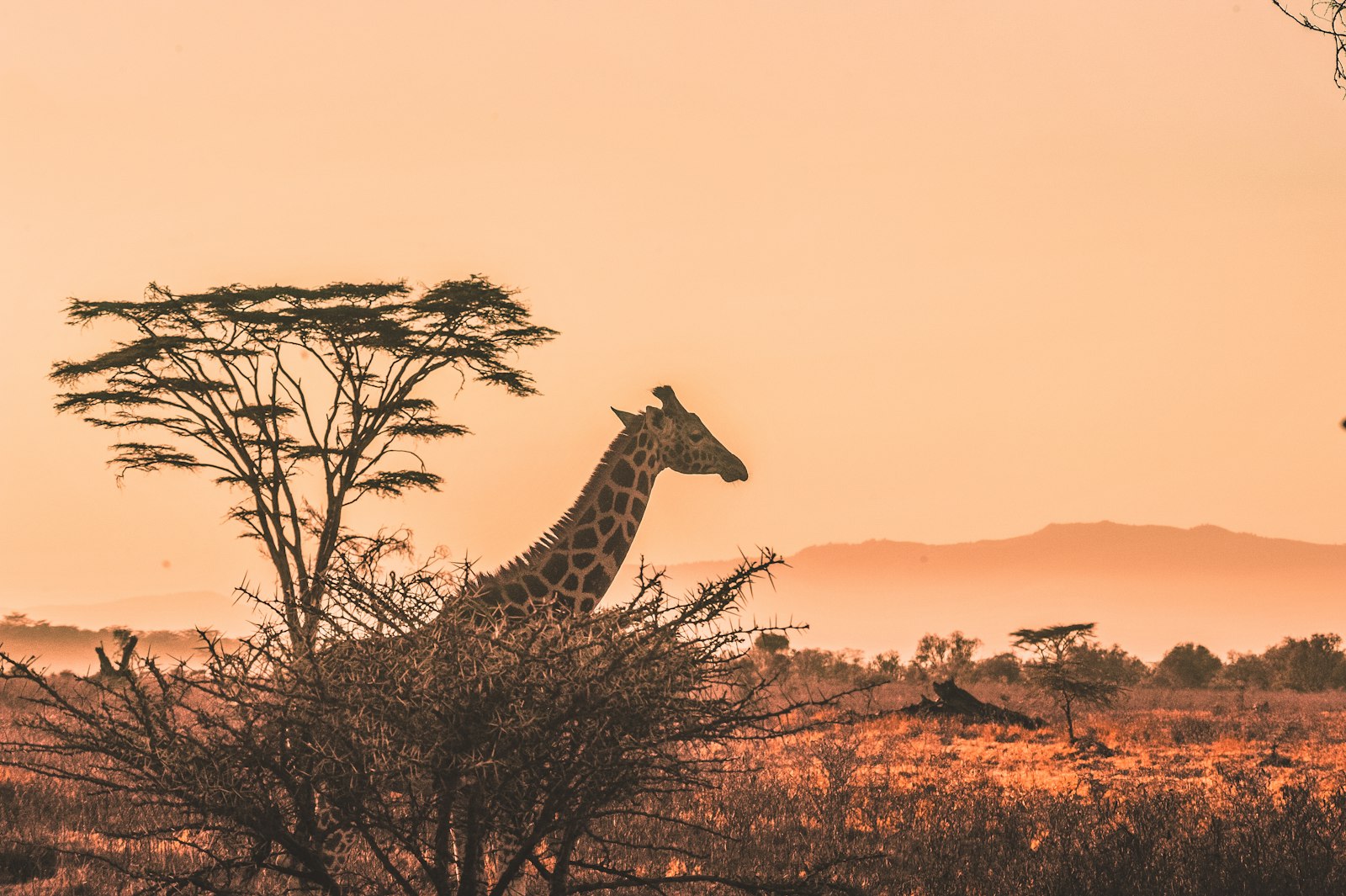 Laikipia County